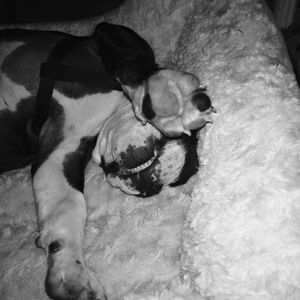 Meet your Posher, Maryloc